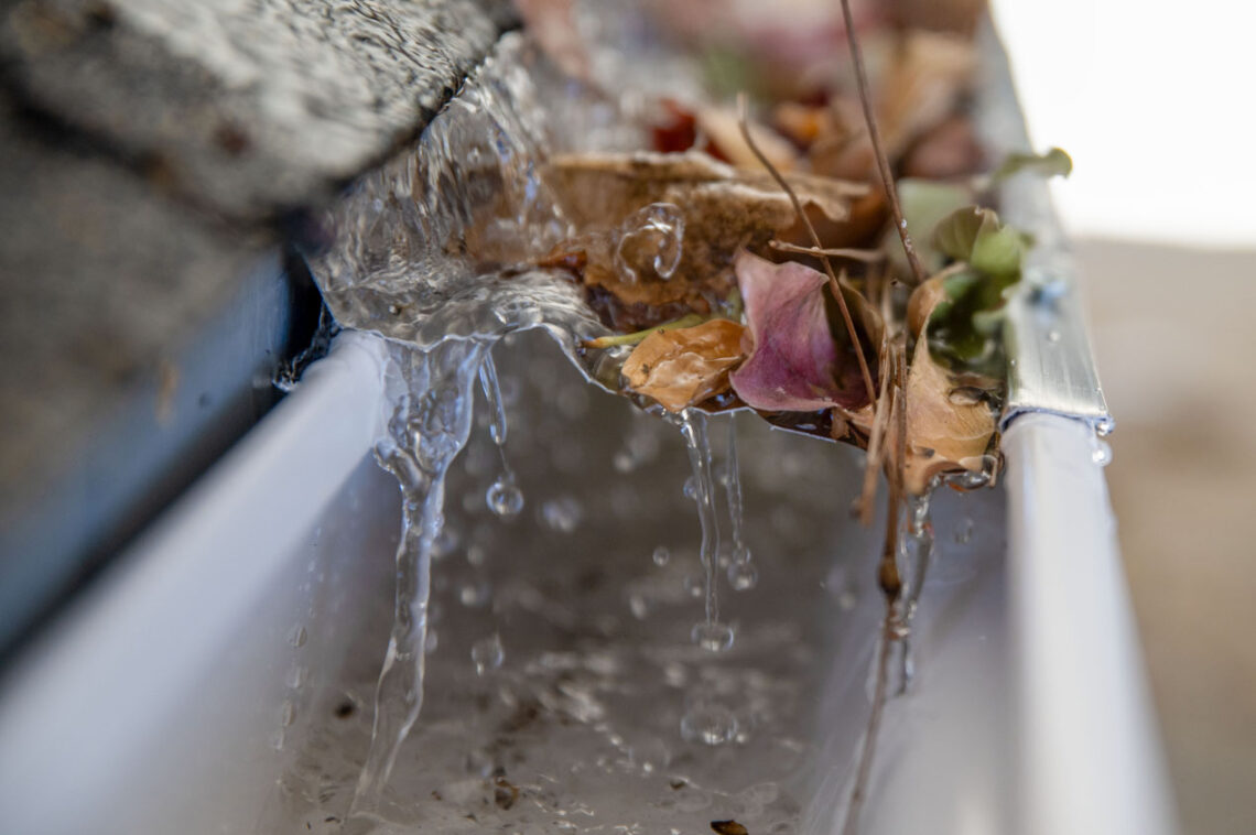 Best Gutter Guards for Pine Needles Firsthand Tested