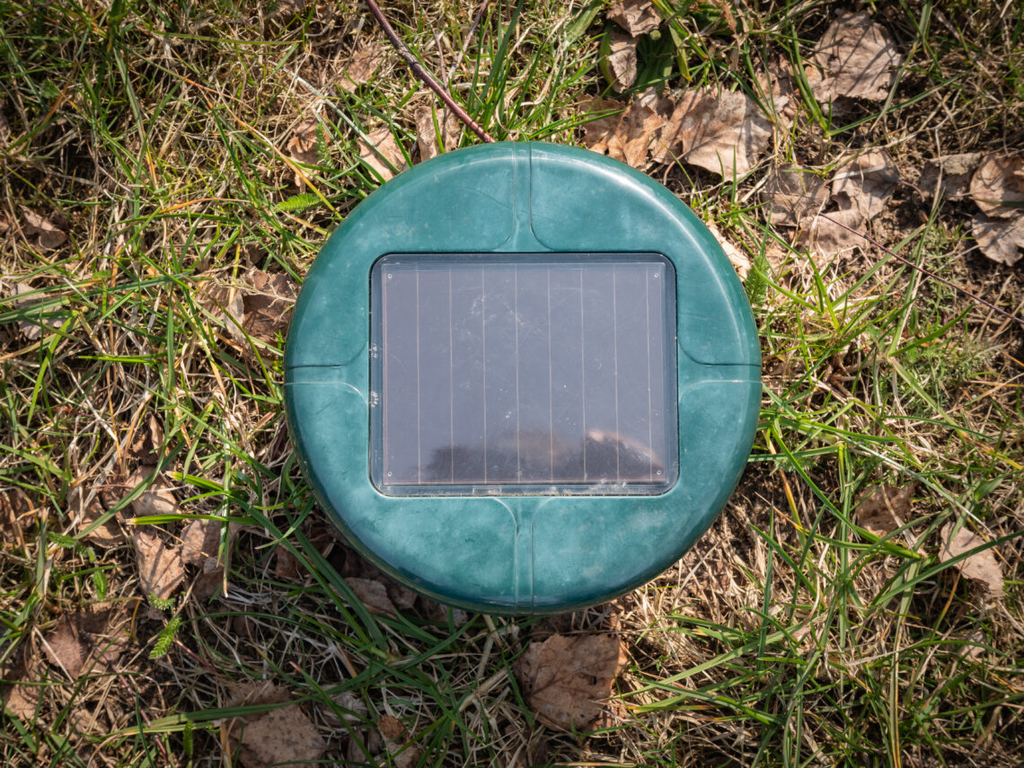 Do Ultrasonic Pest Repellers Work? (2024 Guide)